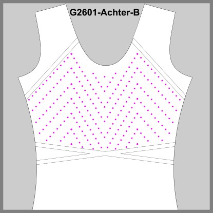 G2601-Achter-B